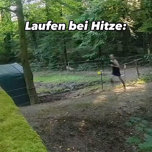 Wir LäuferInnen schätzen den Wert unserer Wälder ganz besonders. Am meisten im Sommer.

Nehmt doch beim Laufen im Wald...